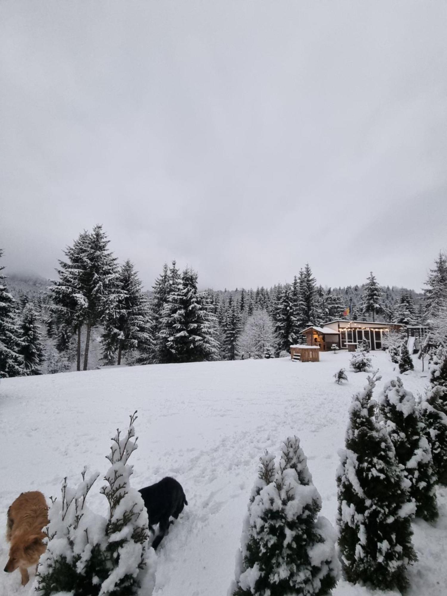 Cabana Casaru Colibiţa Dış mekan fotoğraf